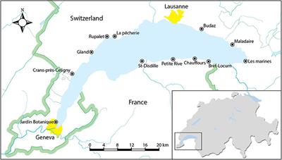 Observational Study Unveils the Extensive Presence of Hazardous Elements in Beached Plastics from Lake Geneva